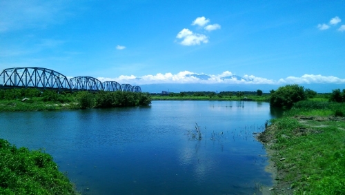 大樹舊鐵橋溼地公園